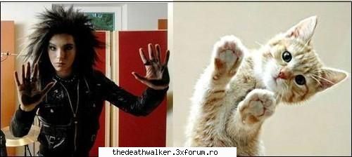 POZE... - GetOutFromHell - Just Our Favourite Singer
